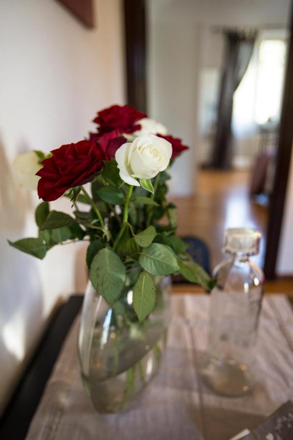 B&B Casa Fefe' Мондови Экстерьер фото